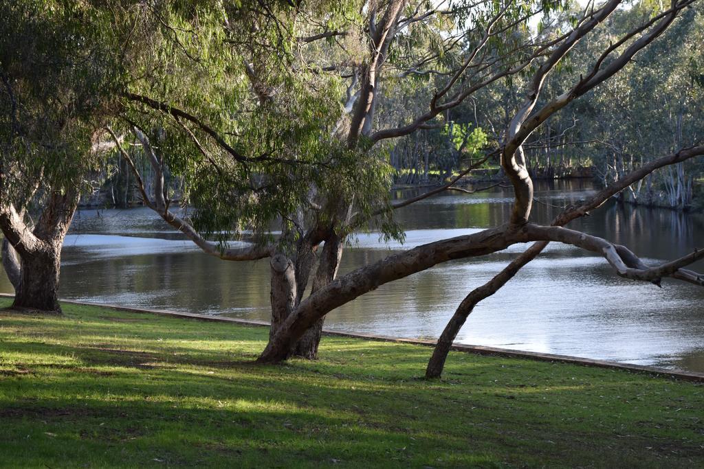 Bushy Lake Chalets Margaret River Esterno foto