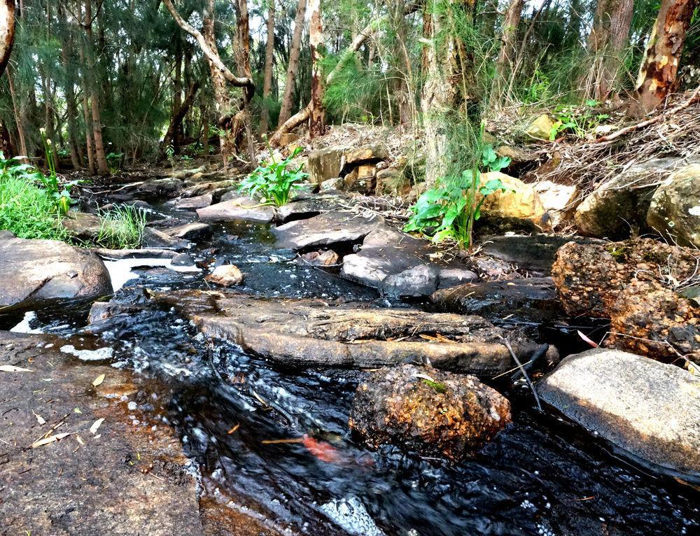 Bushy Lake Chalets Margaret River Esterno foto