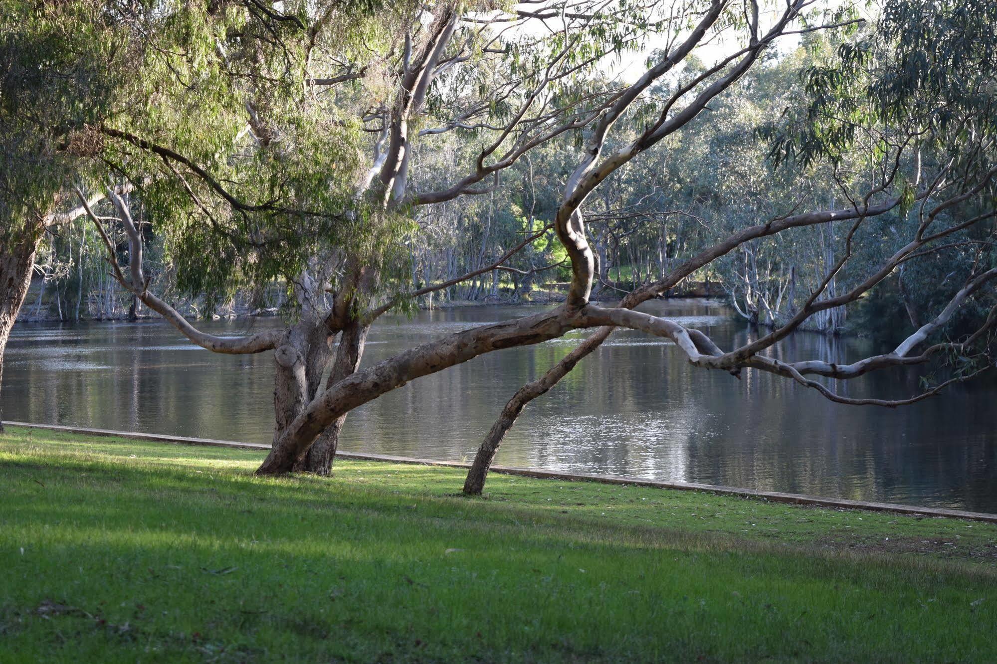 Bushy Lake Chalets Margaret River Esterno foto